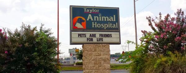Taylor Animal Hospital