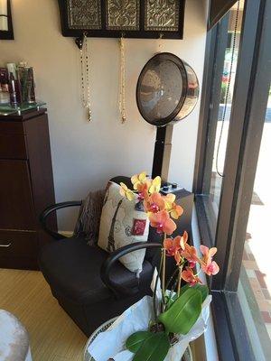 Angelique's-A Salon & Boutique