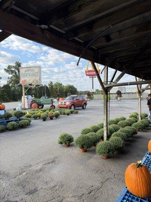 Shireman's Farm Market
