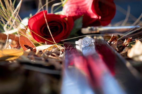 Heather Lear Photography