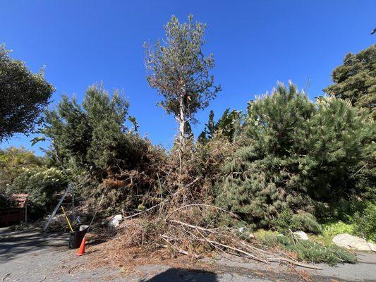 AR Gardening and Maintenance Service