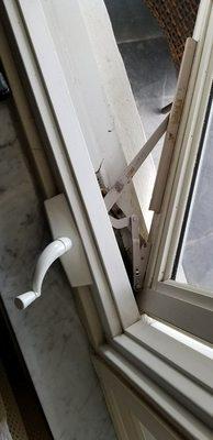 Window & Door Expert