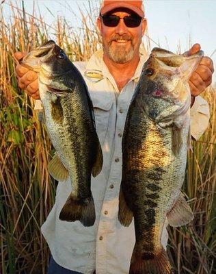 Evergreen Largemouth Bass