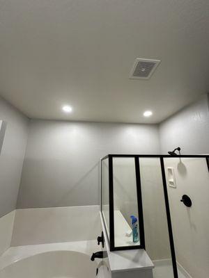 Cactus Currents Electrical