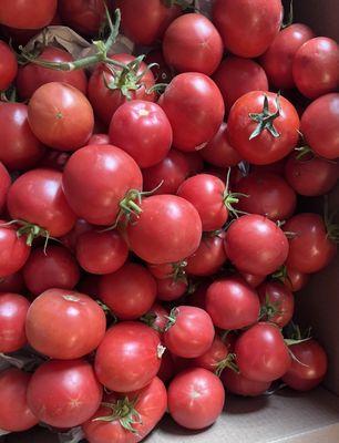 Their fresh picked tomatoes straight from their farm are truly the best! Been eating them like apples since the day we got them!