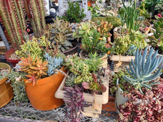 Poorman's Potting Shed