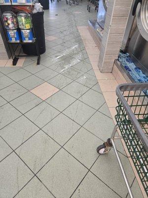 Un señor yego con una cama de perro toda mojada y con mal olor eso no debieron dejar q el lave eso pork eso es bacteria y asi dejo el piso