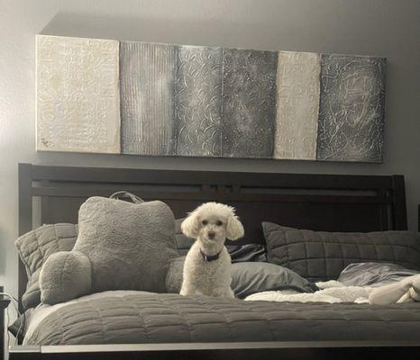 Aztec Animal Hospital