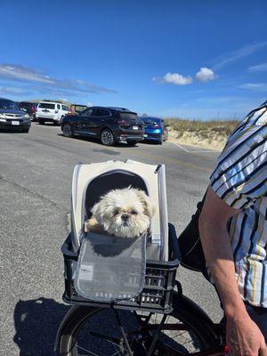 Veterinary Eye Specialists of Nebraska