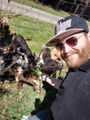 Cache Creek Mobil Home Estates