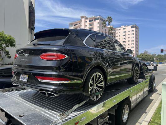 Rapid Recovery Trans