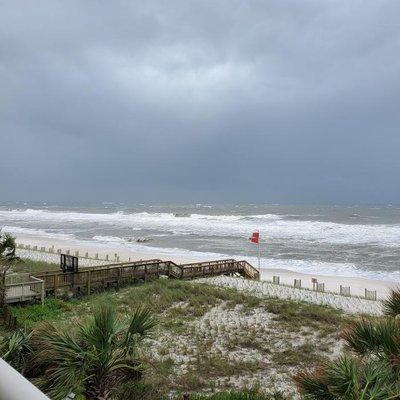 Florida Showcase Realty, LLC