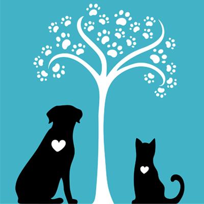 River Square Animal Hospital