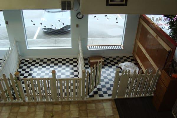 Doggie daycare area
