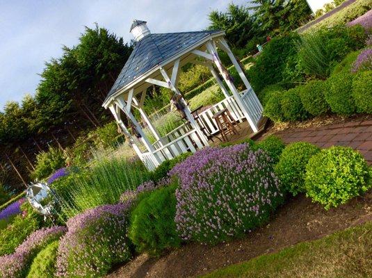 Kitty B's Lavender Farm