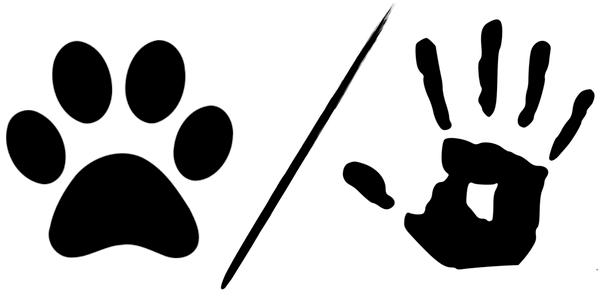 Christopher J Murray