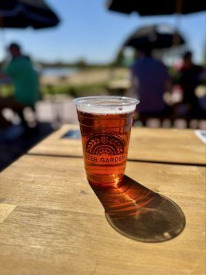 Independence Grove Forest Preserve