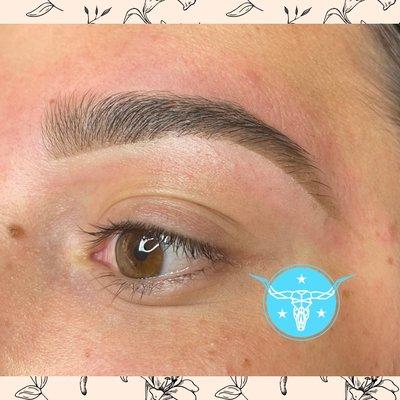Brow Wax and Fill