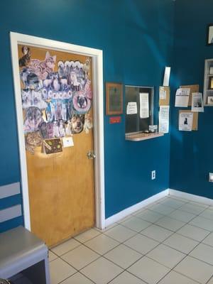 Bustillo Animal Hospital