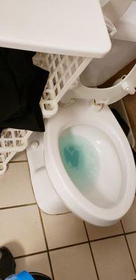 MJ Extraction Cleaning Service