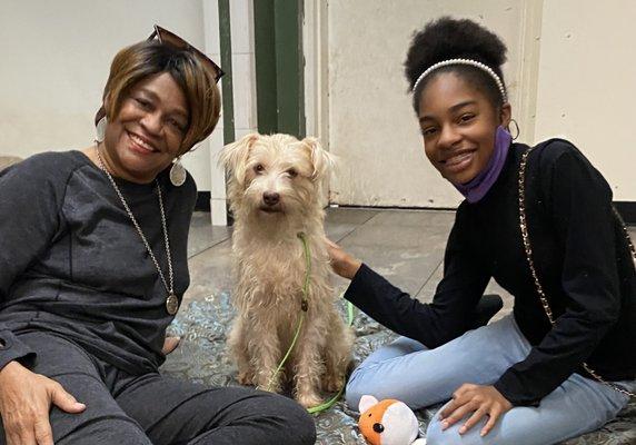 Prestonwood Kennels Pet Resort