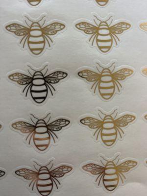 Absolute Pest Control