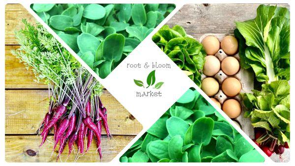 Lowcountry's Natural Living and Sustainable Market