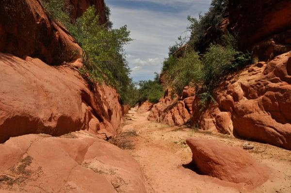 Canyon Country Guides