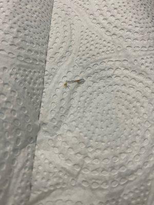 Prospect Coffee Shop