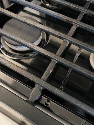 Maid Brigade of Sarasota-Manatee