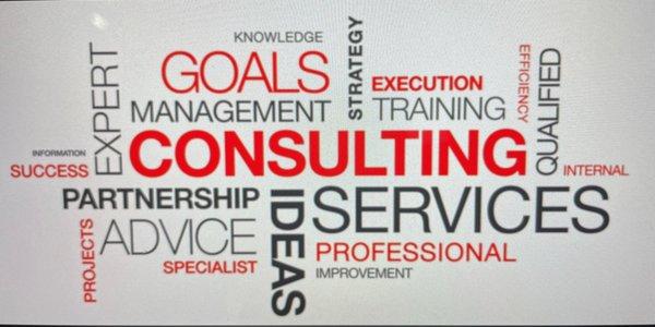 LBM Consulting Services