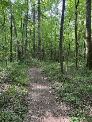 San Felasco Hammock Preserve State Park