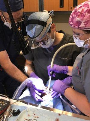 Providing outstanding care.