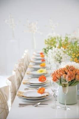 Van Vliet & Trap - Event Design