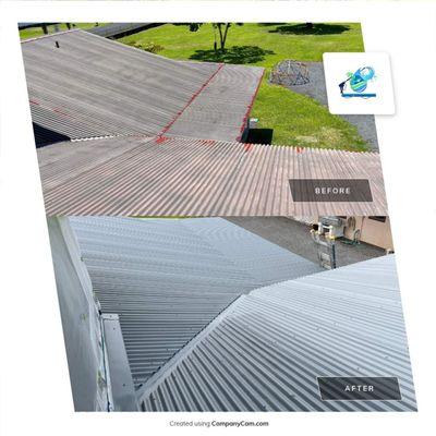 roof painting in Keaau