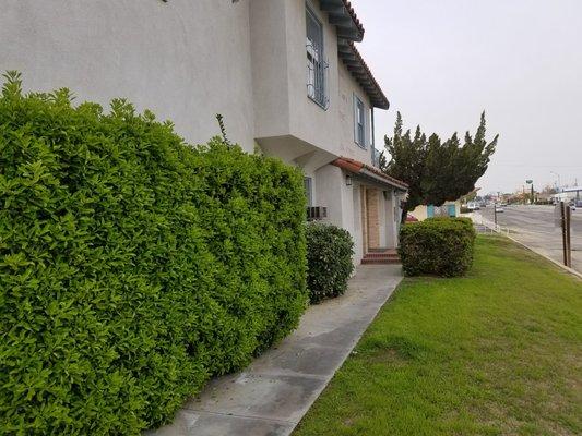 Vibul Tangpraphaphorn, MD