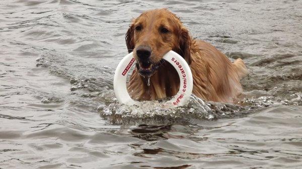 Pleasant Valley Veterinary Clinic