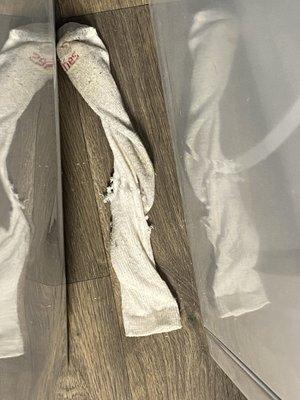 clean up never cleaned up like they were supposed to and this is evidence that the rodent was already in this specific apartment