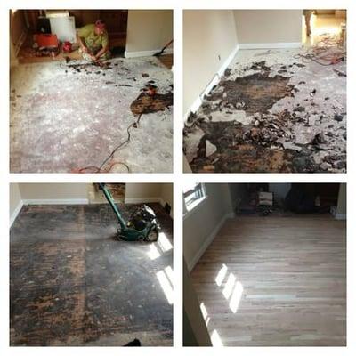 Tony Hughes Wood Floors