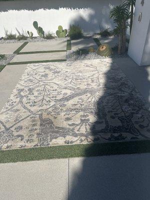 Wool rug, professionally cleaned, no more doors or odor!