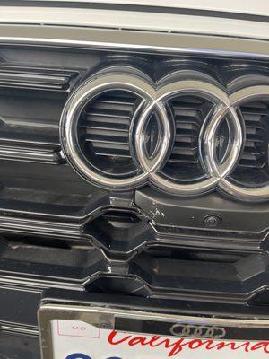 Splattered bugs on my grill