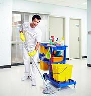 Schmid Custom Cleaning