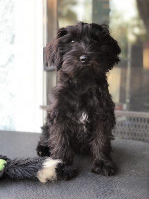 A before picture for comparison.