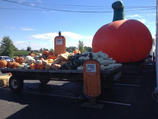 Harvest time at Hubers!