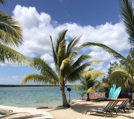 Cruise Planners - Tony Tascione