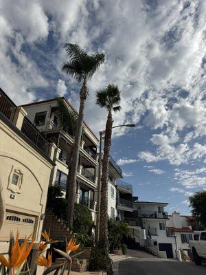 Joel Espinoza Landscape