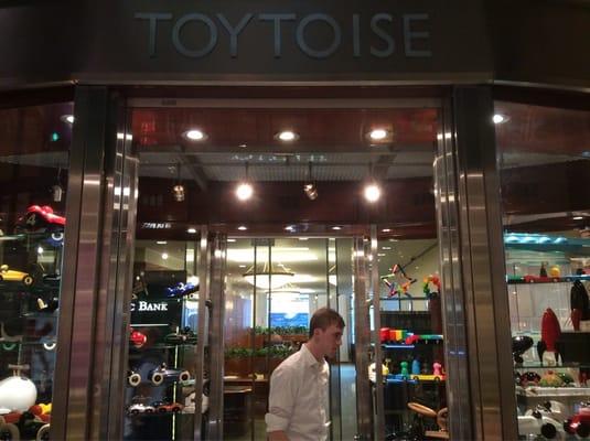 Toytoise