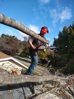 Eskildsen's Tree Service & Complete Property Maintenance