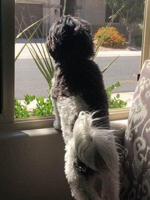 Tamara Senter - Real Estate Sommelier