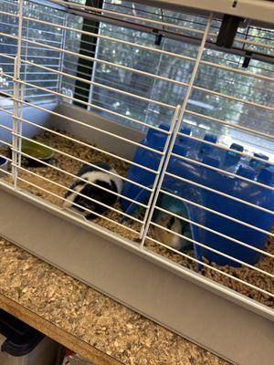 Sonoma County Animal Services